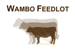 Wambo Cattle Company